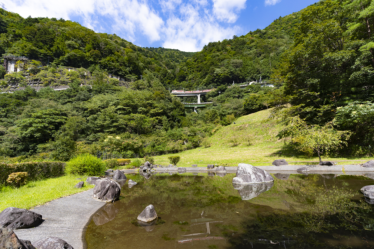 大樽公園