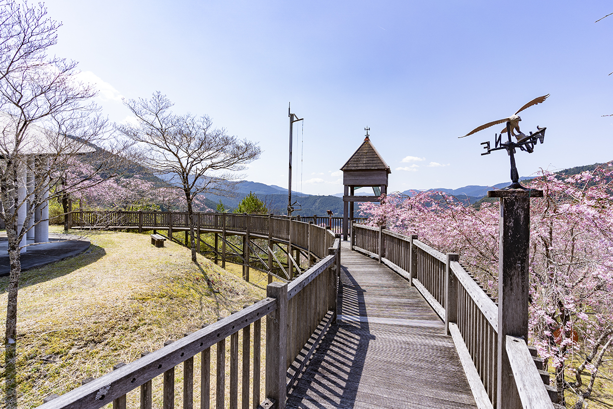 智者の丘公園