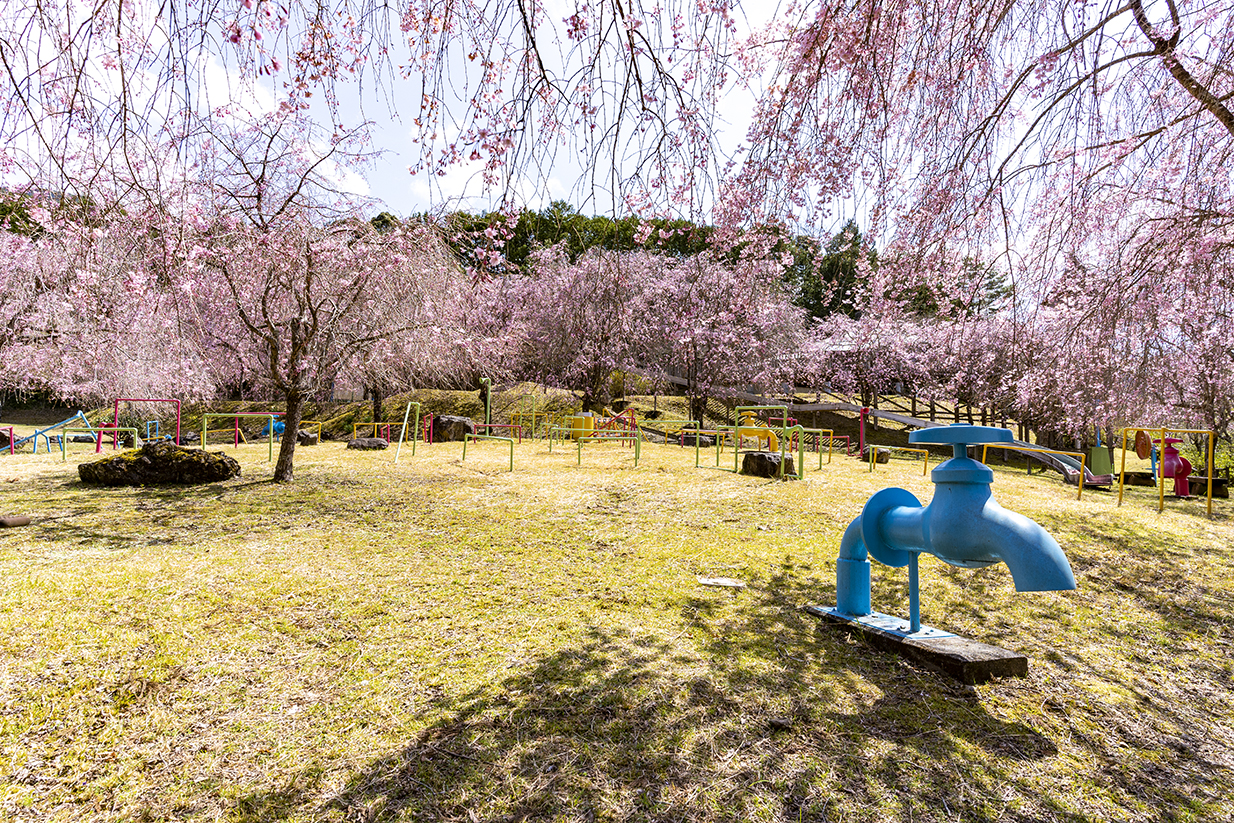 智者の丘公園