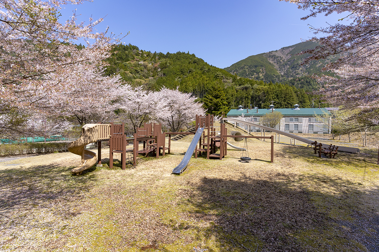 健康増進広場