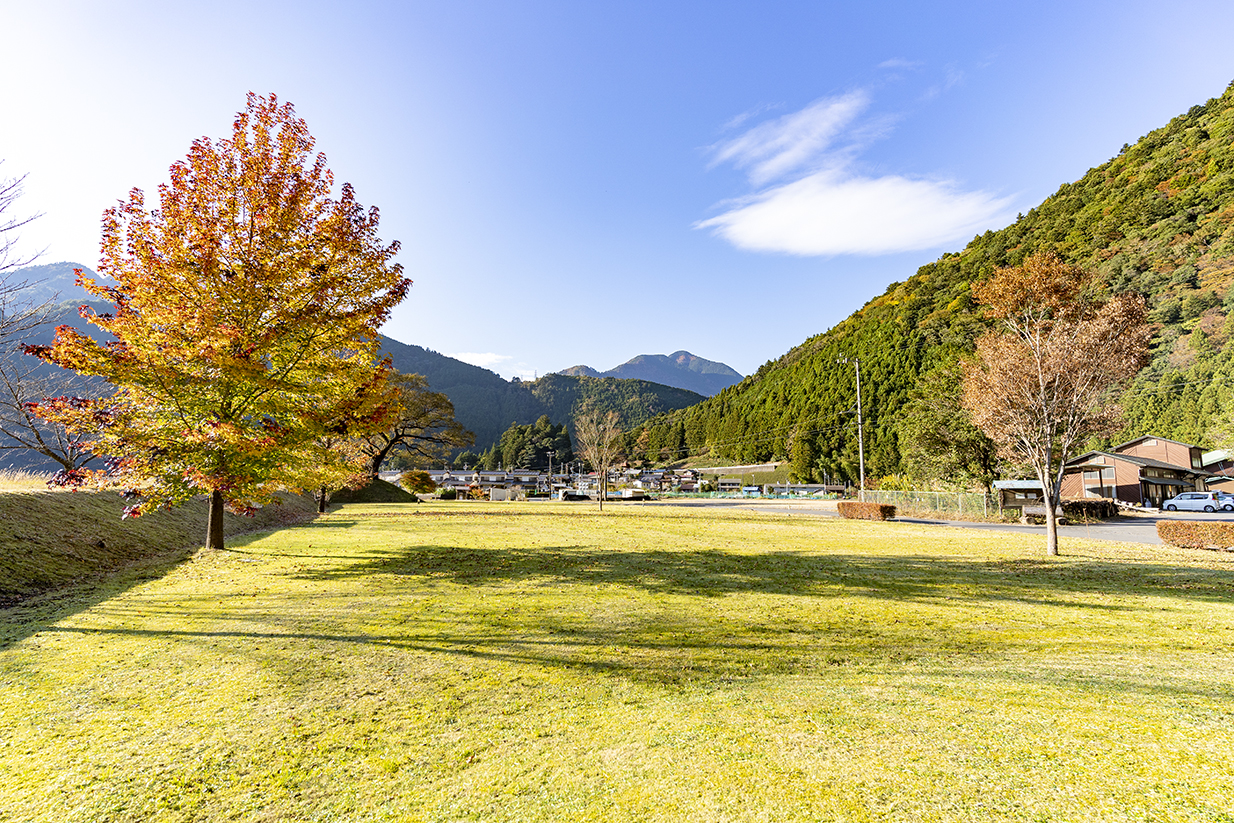 桑野山ふれあい広場