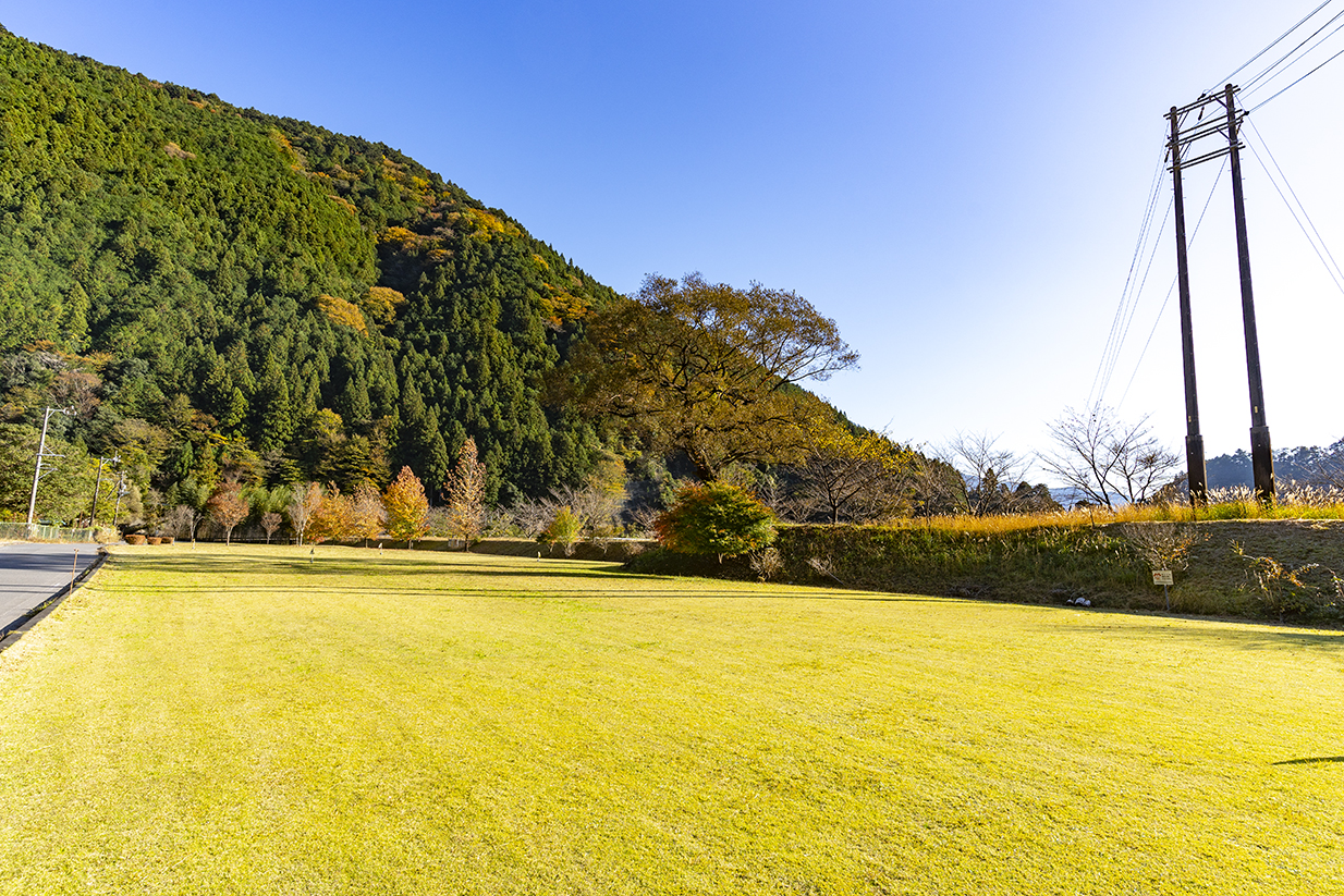 桑野山ふれあい広場