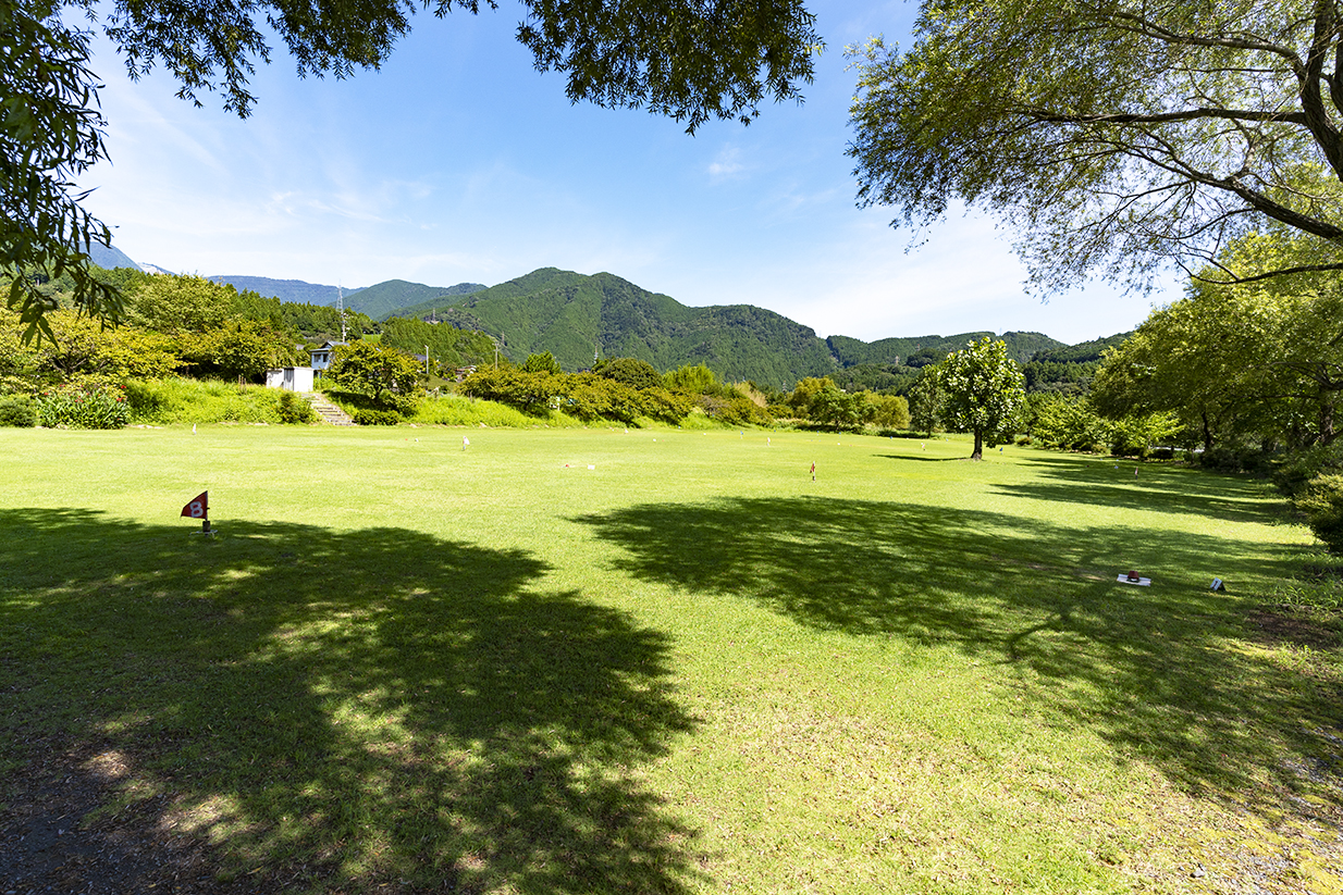 藤川藤っこ広場