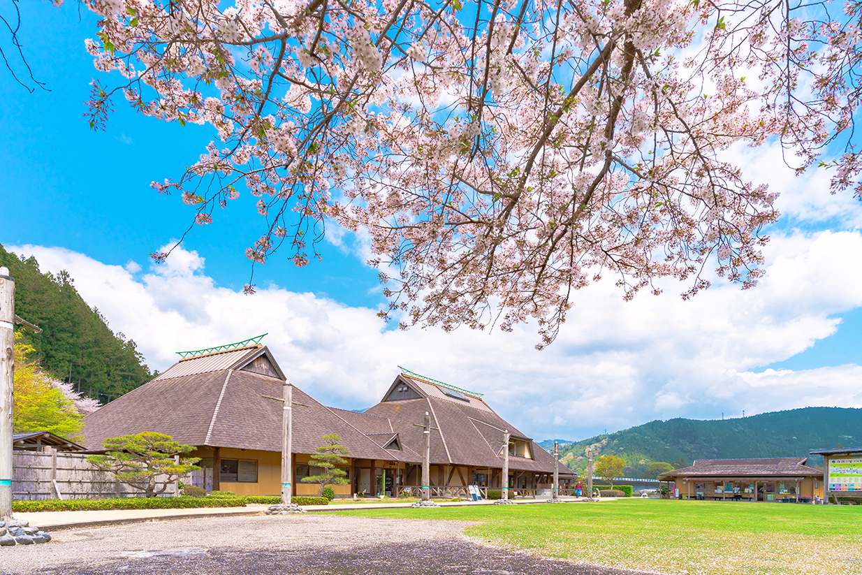 フォーレなかかわね茶茗舘芝生広場