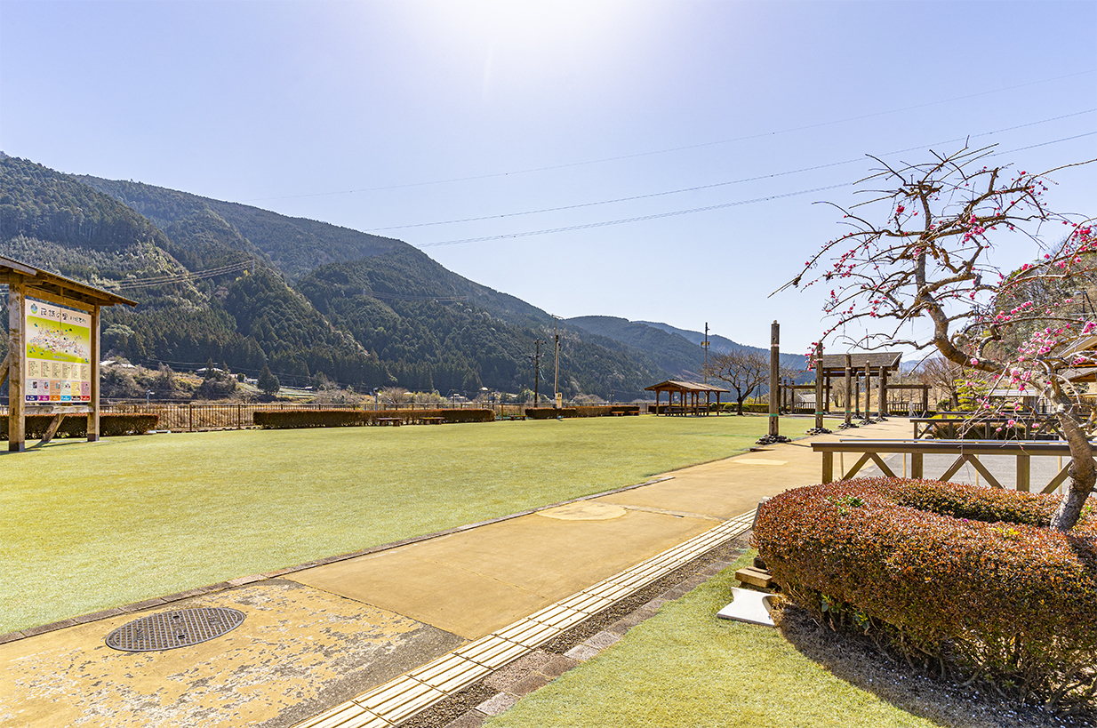 フォーレなかかわね茶茗舘芝生広場